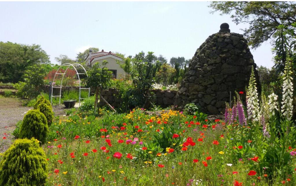 Baghdad House Villa Jeju Eksteriør billede
