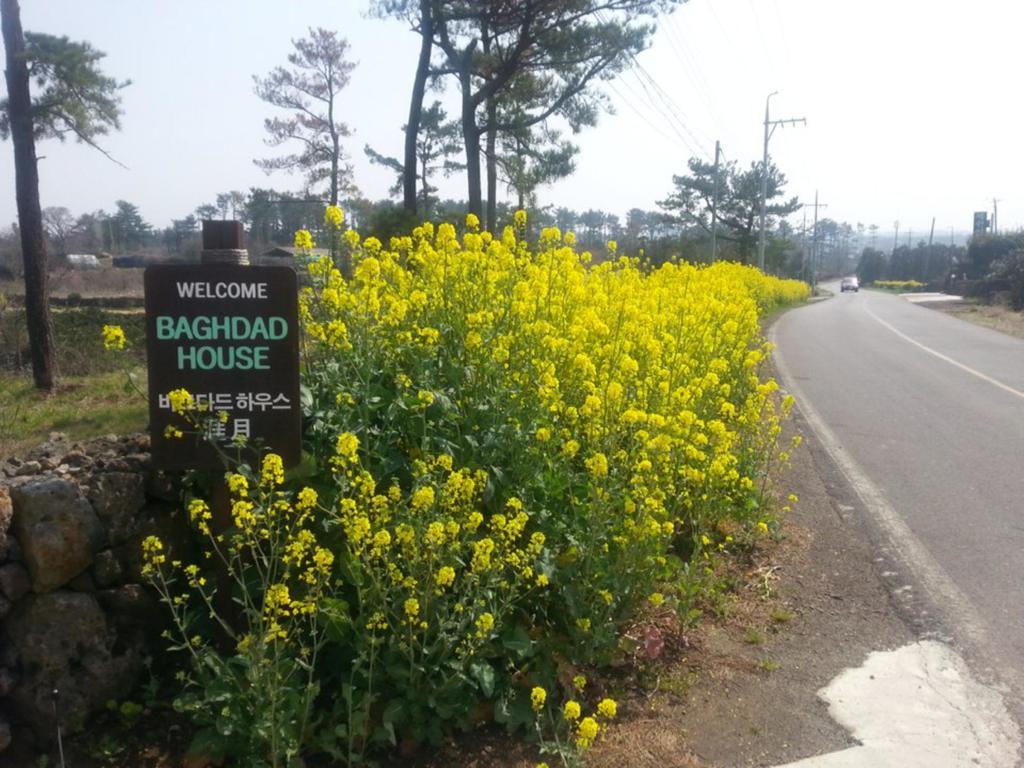 Baghdad House Villa Jeju Eksteriør billede