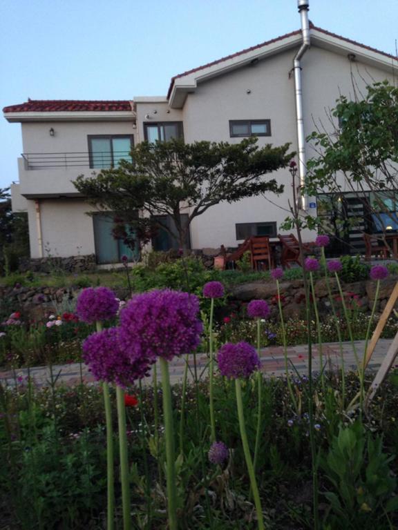 Baghdad House Villa Jeju Eksteriør billede