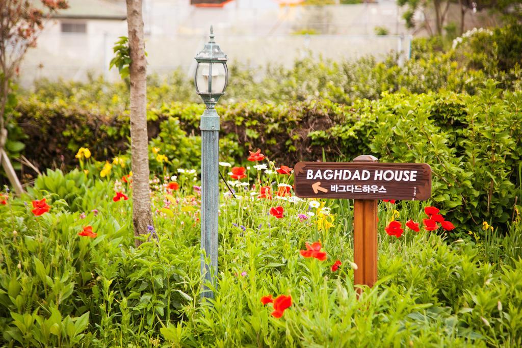 Baghdad House Villa Jeju Eksteriør billede