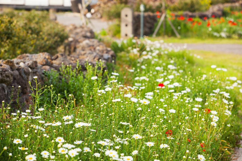 Baghdad House Villa Jeju Eksteriør billede