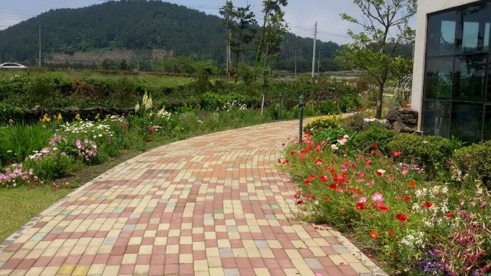 Baghdad House Villa Jeju Eksteriør billede