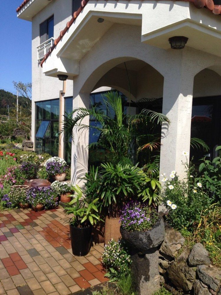 Baghdad House Villa Jeju Eksteriør billede